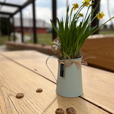 Hotell Na Golfu Kestrany