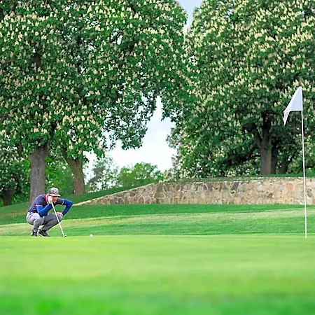 Na Golfu * Kestrany